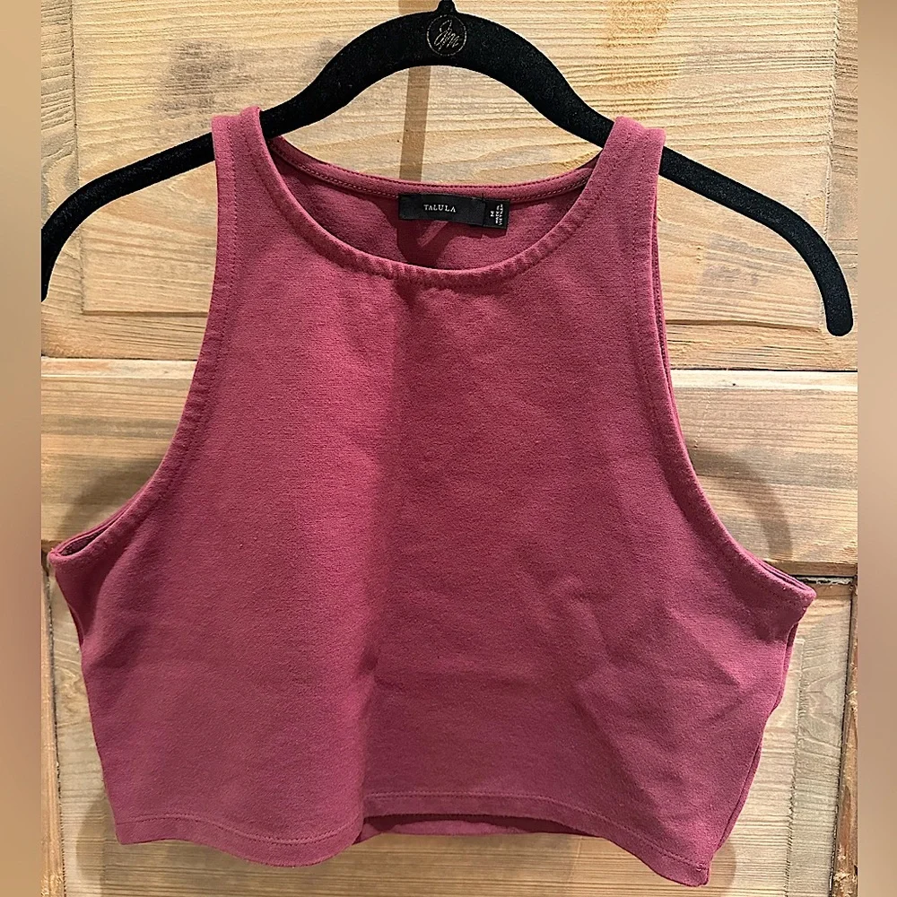 Aritzia Talula “Wiltona” Mauve Crop Top - Picture 1 of 7